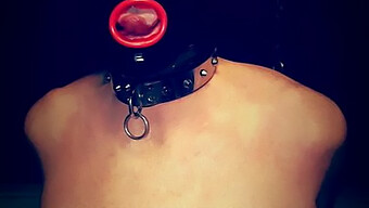 Bdsm Slut Submits To Bondage Mask And Whipping